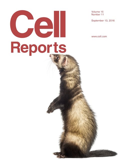 Cell Reports journal cover