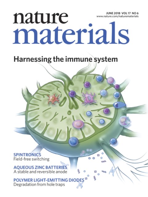 Nature Materials journal cover